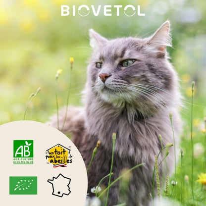 Biovetol Mobil'Activ Chaton & Chat