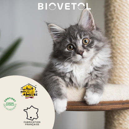Biovetol Probiotiques Régul'Transit Chaton & Chat