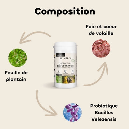 Biovetol Probiotiques Régul'Transit Chiot & Chien