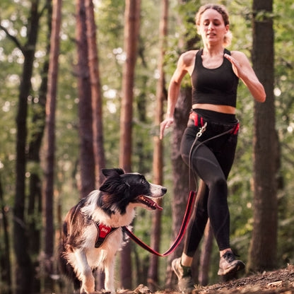 Ceinture De Jogging Julius K9 Rouge