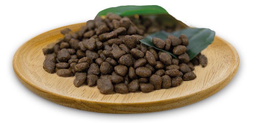 Natural Greatness Chien Adulte Mini Saumon 6kg