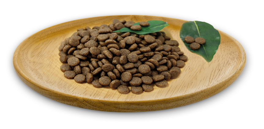 Natural Greatness Chaton & Chat Adulte Wild Instinct Medium & Large 600g