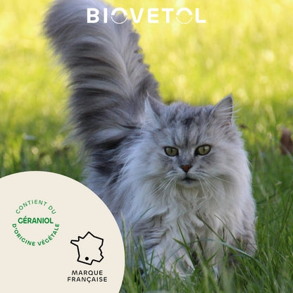Biovetol Collier Antiparasitaire Chaton & Chat