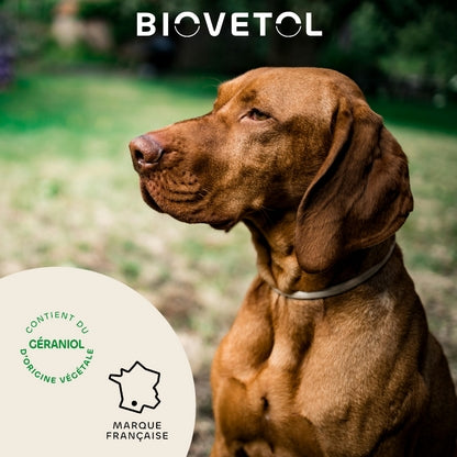 Biovetol Pipettes Antiparasitaire Grand Chien + De 30kg