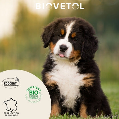 Biovetol Pipettes Antiparasitaire Chiot & Petit Chien - de 15kg