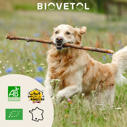 Biovetol Mobil'Activ Chiot & Chien