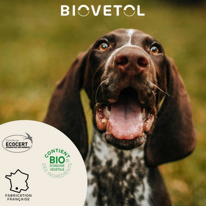 Biovetol Pipettes Antiparasitaire Chien Moyen De 15kg A 30kg
