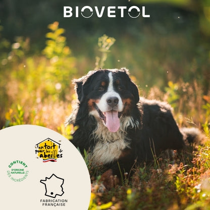 Biovetol Probiotiques Régul'Transit Chiot & Chien