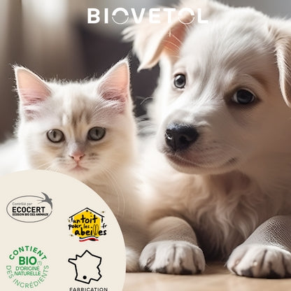Biovetol Shampooing Spécial Junior Chiot & Chaton 240ml