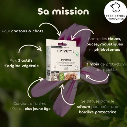 Biovetol Pipettes Antiparasitaire Chaton & Chat