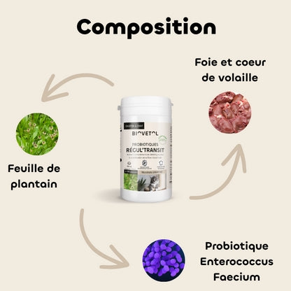 Biovetol Probiotiques Régul'Transit Chaton & Chat