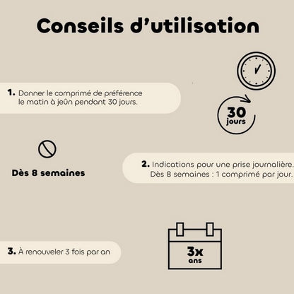 Biovetol Probiotiques Régul'Transit Chaton & Chat