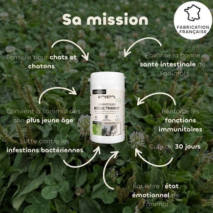 Biovetol Probiotiques Régul'Transit Chaton & Chat