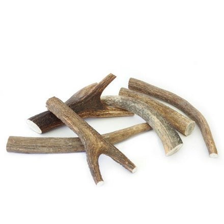 Bois De Cerf