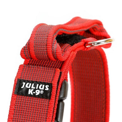 Collier + Poignée Julius K9 Rose