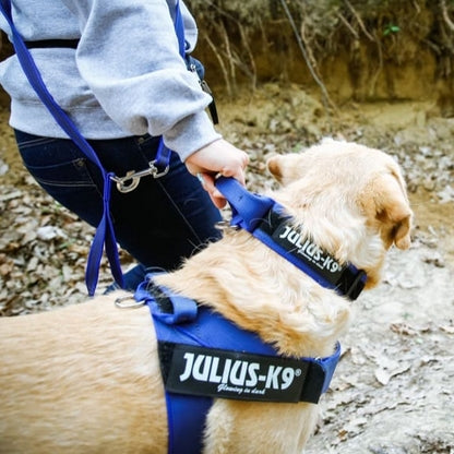 Collier + Poignée Julius K9 Rose
