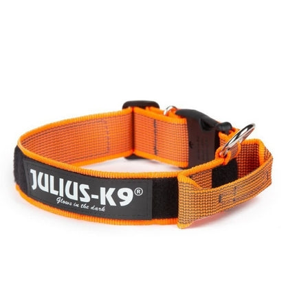 Collier + Poignée Julius K9 Orange