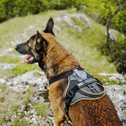 Harnais Longwalk Y Julius K9 Anthracite