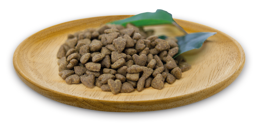 Natural Greatness Chat Adulte Sensitive Indoor 2kg
