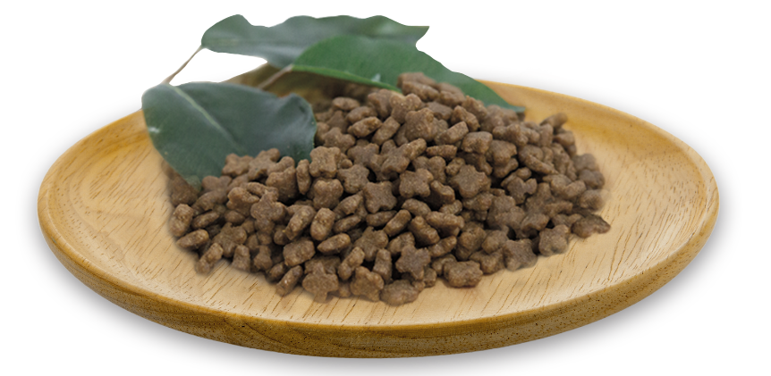 Natural Greatness Chien Adulte Mini Agneau 6kg