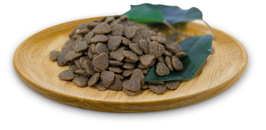 Natural Greatness Chien Adulte Agneau 2kg
