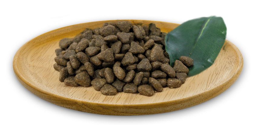 Natural Greatness Chat Adulte  Field & River 600g