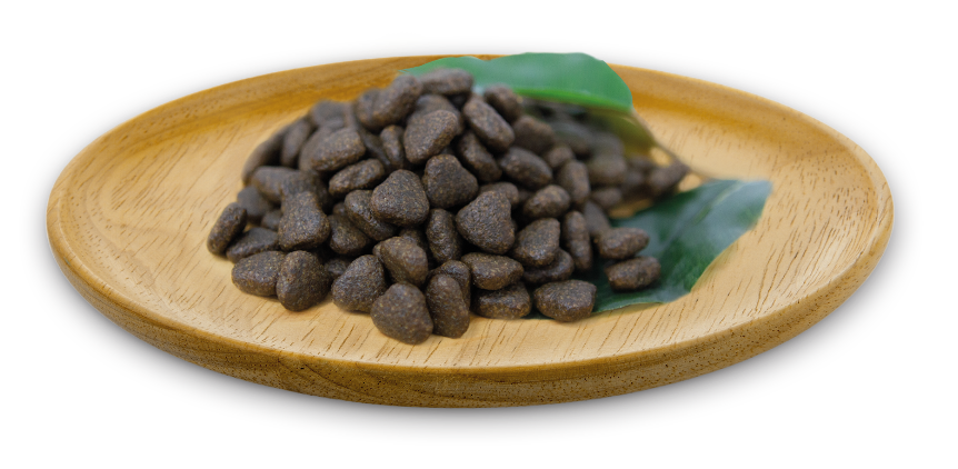 Natural Greatness Chien Adulte Saumon 10kg