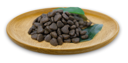Natural Greatness Chien Adulte Saumon 10kg