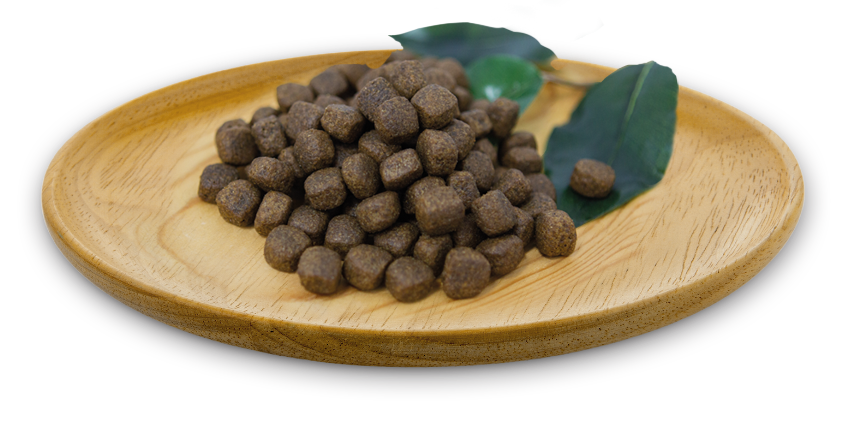 Natural Greatness Chien Adulte Dinde 2kg