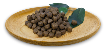 Natural Greatness Chien Adulte Dinde 2kg