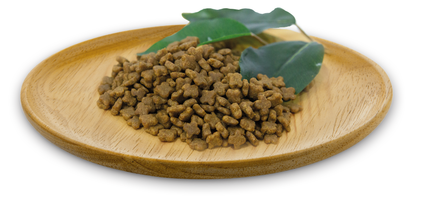 Natural Greatness Chaton Wild Instinct 600g